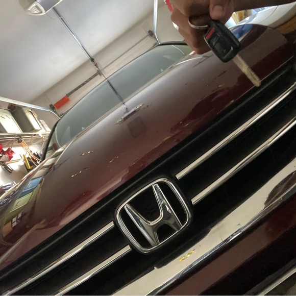 GUESS Originals Beige Graphic Tee - Picture 4 of 4